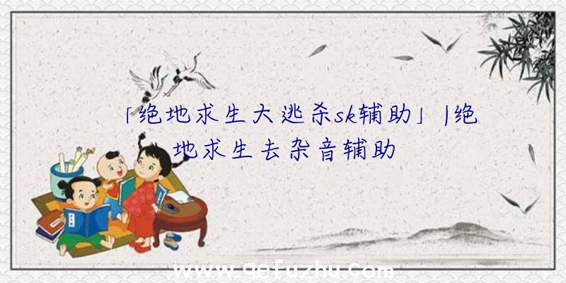 「绝地求生大逃杀sk辅助」|绝地求生去杂音辅助